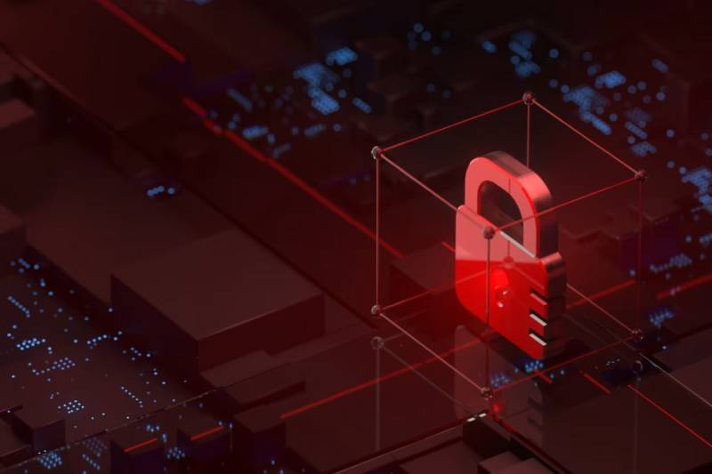 昭阳区企业无云财务团队,财务运营破局实战指南